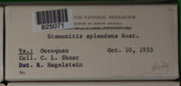 Image Associated With the Occurence